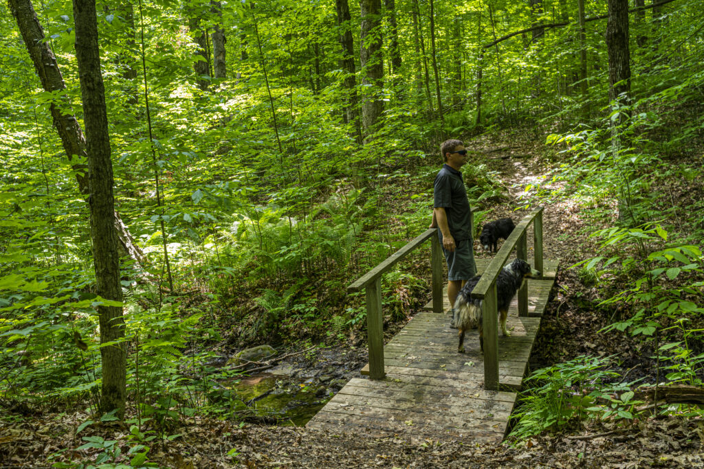 Peters Woods Provincial Park