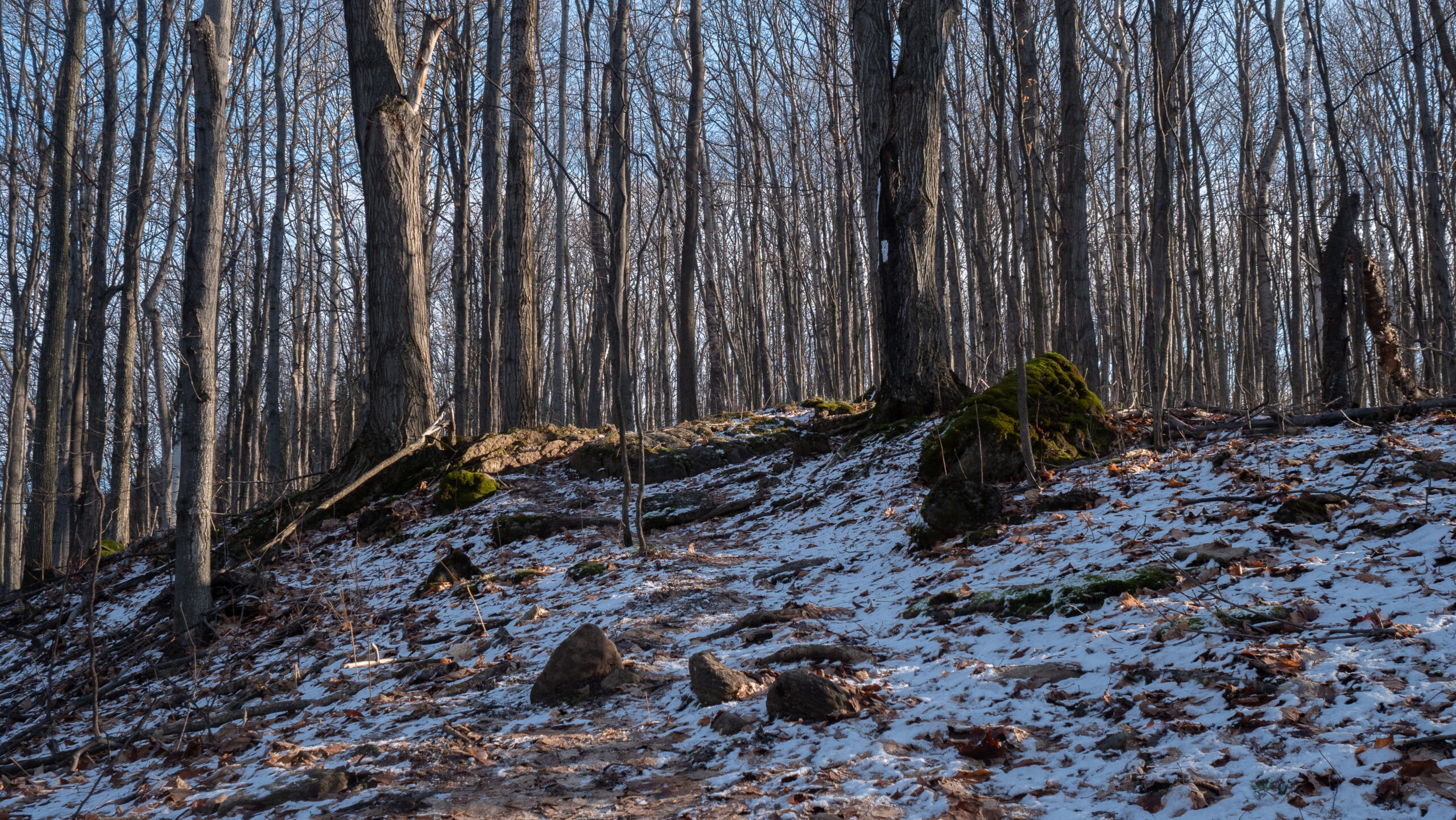 Noisy River Provincial Park