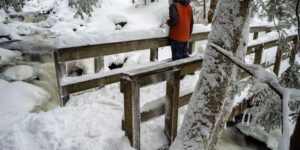 Algonquin Park Track And Tower Trail