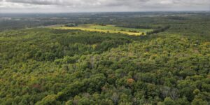 Long Sault Conservation Area Drone Footage On The Oak Ridges Moraine