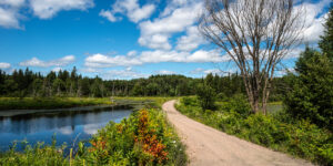 Victoria Rail Trail Lost Drone Footage From Phone Cache