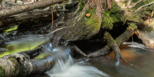 Ritchie Falls