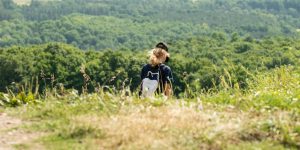 Boyne Valley Provincial Park On The Niagara Escarpment