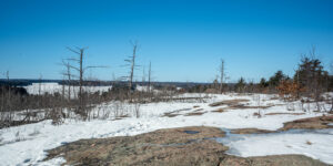 Huckleberry Rock