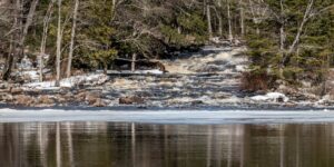 Algonquin Park South