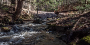 weir lake trail