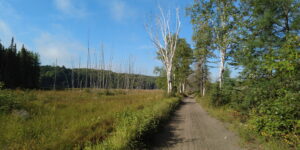 Seguin Trail Park To Park