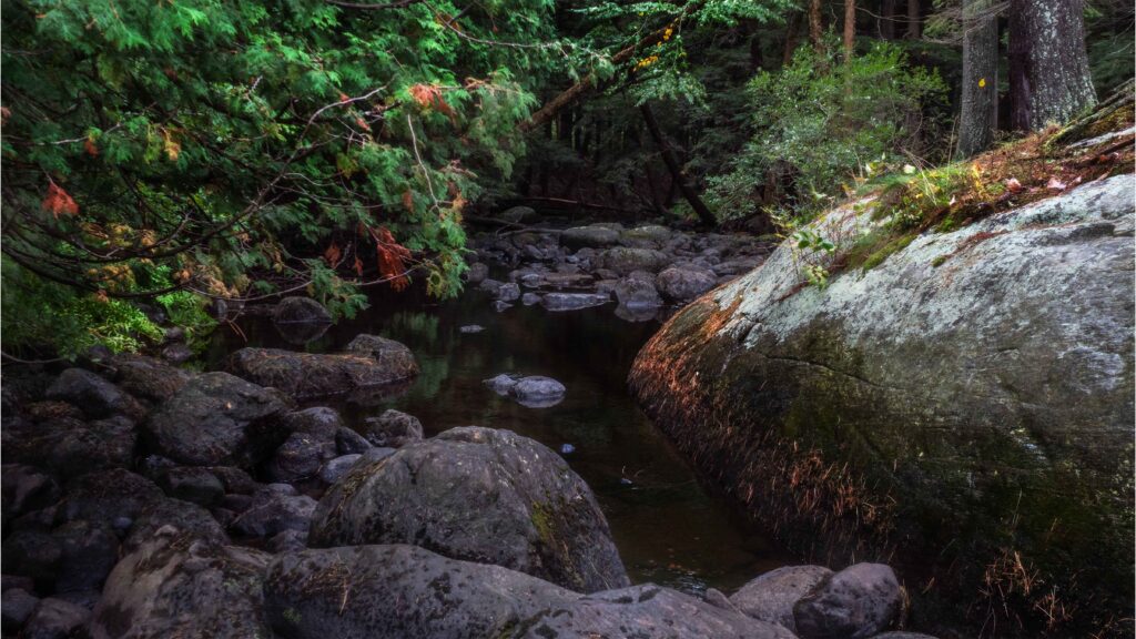 Creek on The Gut Lake  Trail