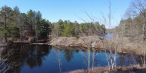 Beaver Dam Crossing At Queen Elizabeth II Wildlands Provincial Park