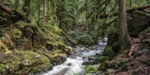 Cypress Falls Park
