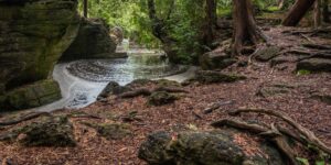 Rockwood Conservation Area