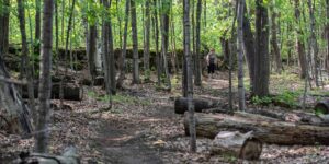 Hiking in Ottawa Ontario Canada on the National Capital Commission Greenbelt hiking trails