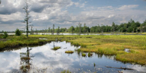 Torrance Barrens Dark Sky Reserve