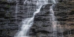 rockway conservation area