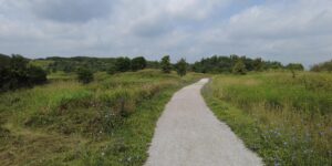 William Granger Greenway