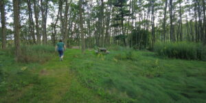 Ballyduff Trails