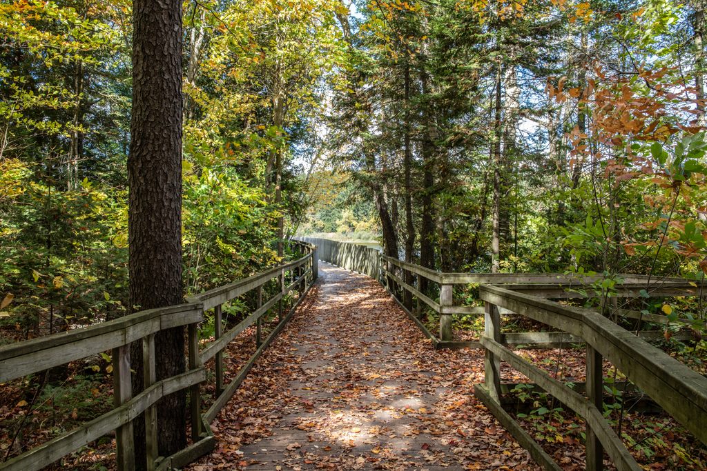 hiking trail at Island Lake Conservatiopn Area