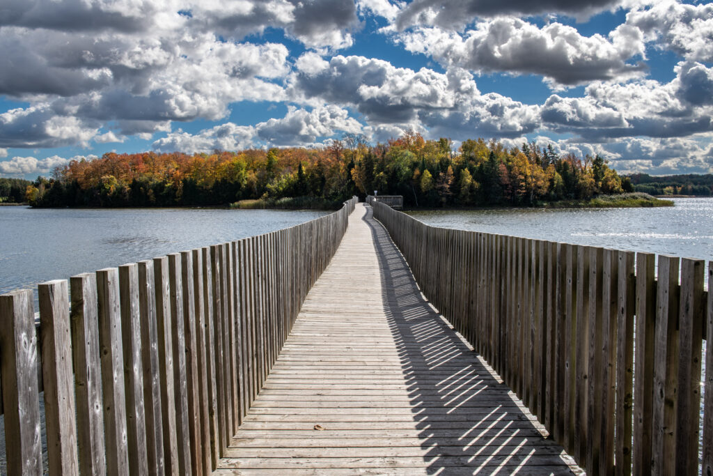 Boardwalk at Island Lake Conservation Area