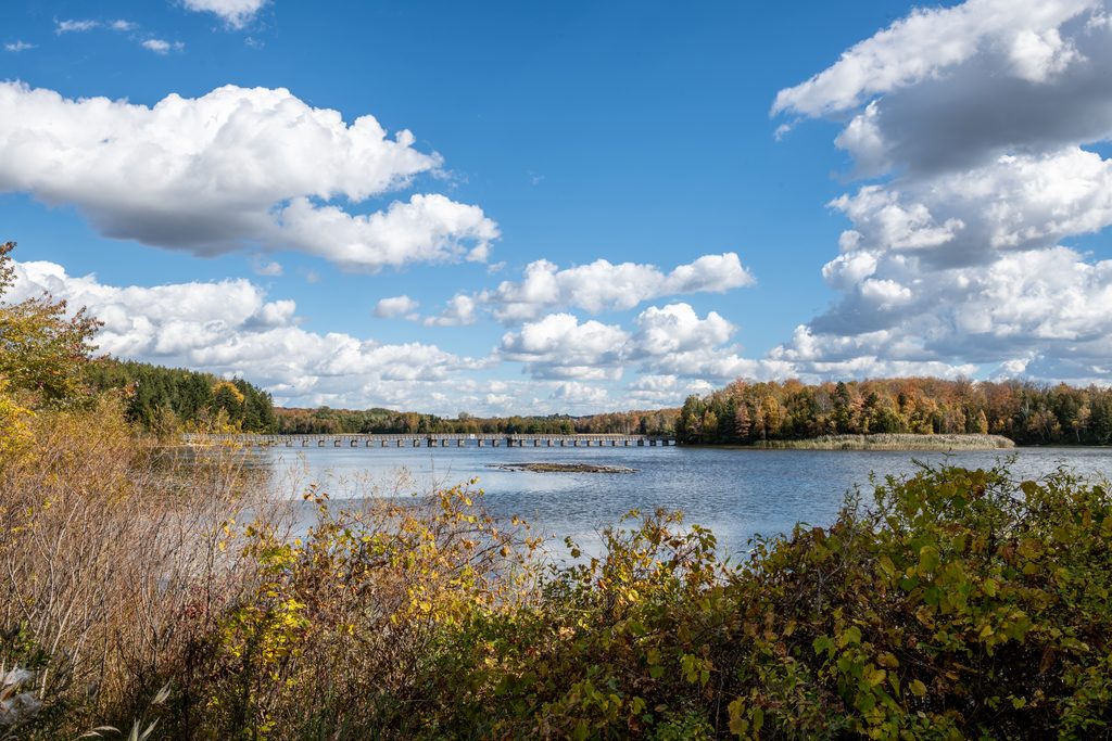 Lake view at island lake