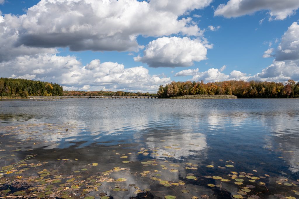 Island Lake