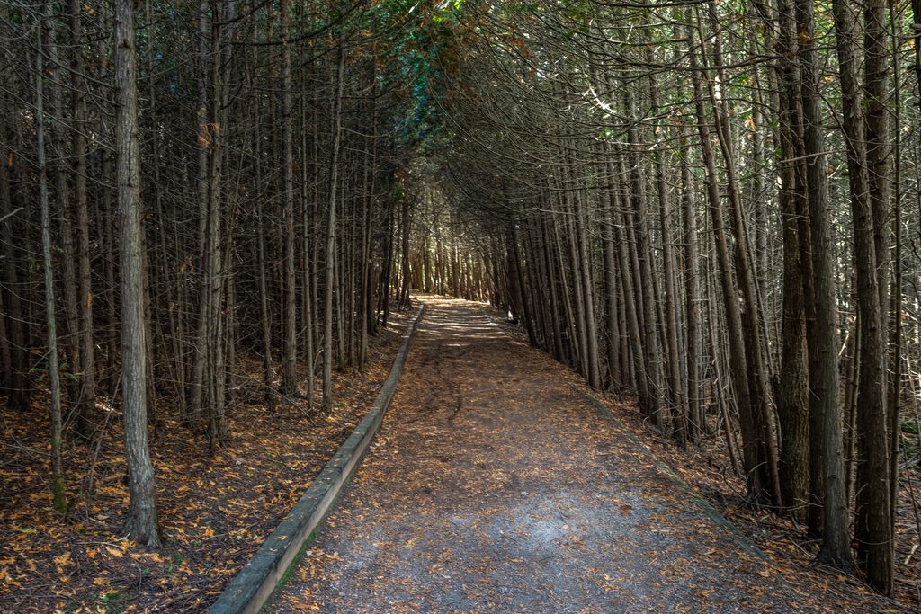 hiking at Island Lake
